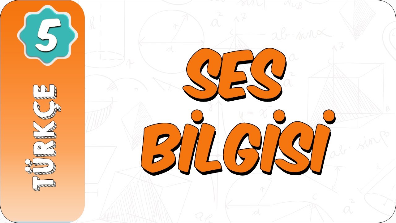 5. Sınıf Türkçe | Ses Bilgisi