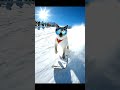 Professional Snow Skating Skills That Will Shock You 🔥#Shorts #YouTubeShorts #SnowSkating #ProLevel