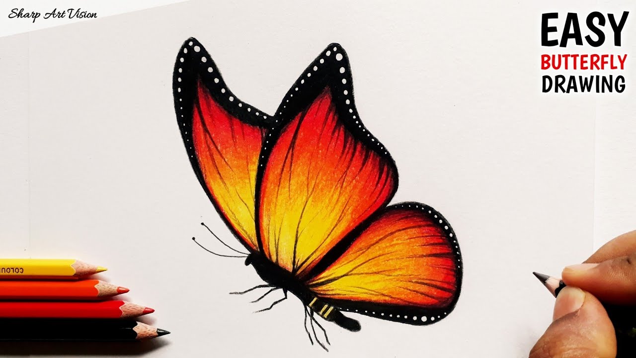 Flying Butterfly Drawings Images & Pictures | Disegno di fiori, Disegno  fiori, Disegni da ricamo a mano