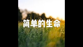 201809 简单的生命23951