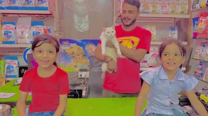 Watch the video about Happy Customer Happy Animals World | Love With Animals | Free Persian Cats Free Adoption Hamza Aslam