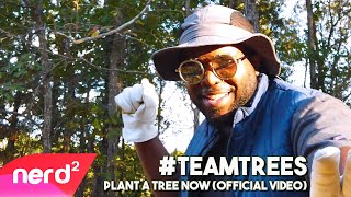 Plant a Tree Now! MrBeast Collab #TeamTrees #NerdOut