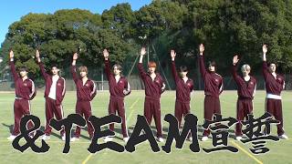 &TEAMに新しいコンテンツへの意気込みを聞きました。