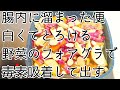 毎日3〜5キロ単位の便がお腹の中にあるらしいので、毒素を吸着して出すスープを作りました。