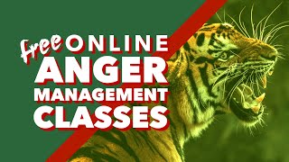 Free Online Anger Management Classes, Plus Where To Get Them In 2024