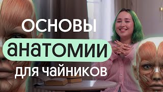 ОСНОВЫ АНАТОМИИ ДЛЯ ЧАЙНИКОВ | ОГЭ по биологии 2024