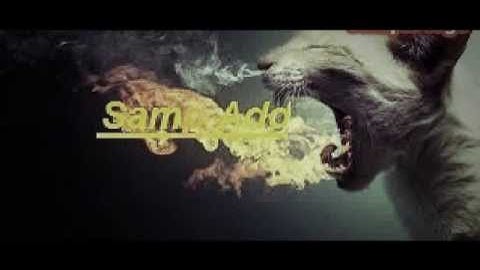 Intro Samp Add Killer