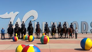 Cape May County Sheriff’s Department - Basic Mounted Police Course (long version)