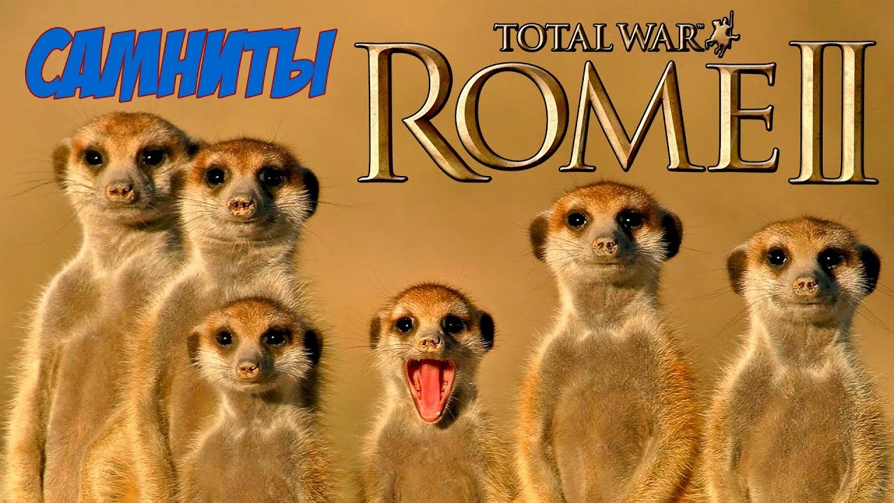 romeo Кот спаси мою кампанию! Самниты майданят. Легенда. Rome 2 Total War.
