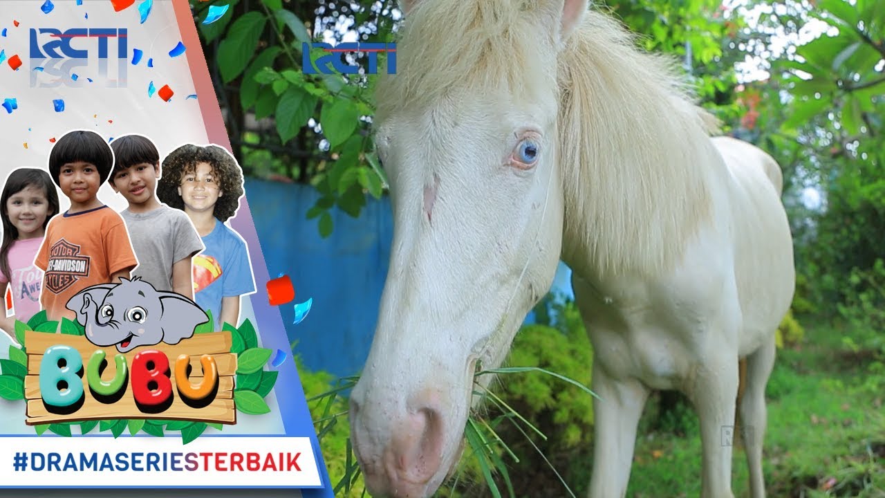 BUBU - Anak Ini Berangkat Sekolah Naik Kuda [12 OKTOBER 2017]