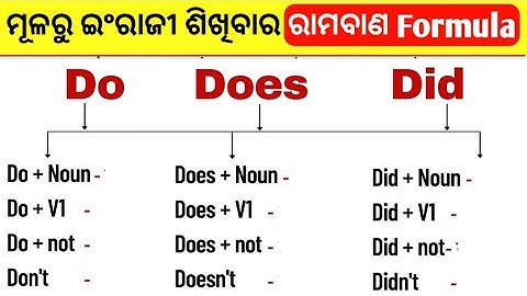 All Uses Of Do Does Did In Odia / Do Does Did ର ସବୁତକ ବ୍ୟବହାର / Helping Verbs In Odia
