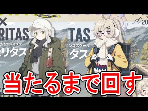 キャンプハレとキャンプコタマ当たるまで回すブルアカ。