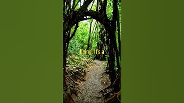 Connect with a Source – The Journey Begins