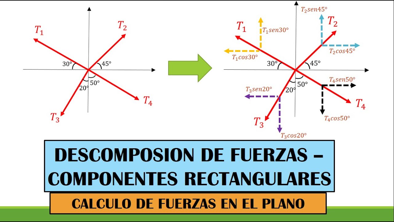Descomposicion De Fuerzas En Sus Componentes