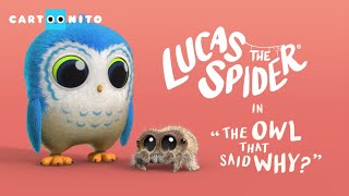 Lucas the Spider _ The Owl That Said Why  Short