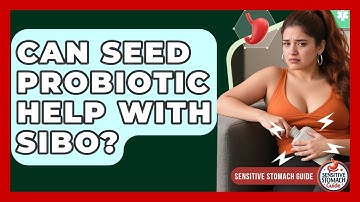 Can Seed Probiotic Help With SIBO? - Sensitive Stomach Guide