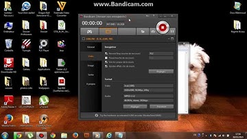 How to play games online with tunngle