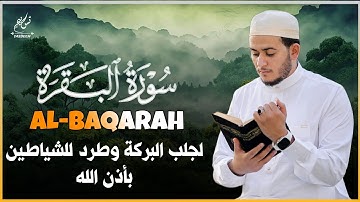 سورة البقرة كاملة تلاوة تريح القلب وتشرح الصدر - رقية للبيت وعلاج للسحر - علاء عقل Surah Al-Baqara