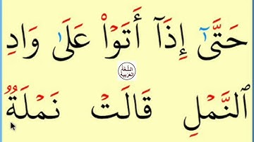 تعلم القراءة والكتابة / آية من كتاب الله سورة النمل18