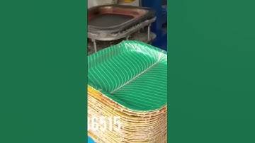 Top Disposable Hydraulic, Paper Plate Machines, Manufacturers, Process Installation, Telugu (A.P)"