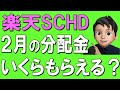 【楽天SCHD】初めての配当金！まだ間に合う？株価下落で買い時到来！？