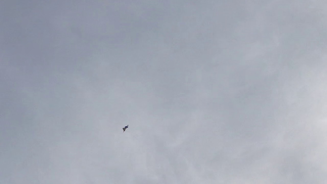 Kite Flying, Lahore... Part1 YouTube