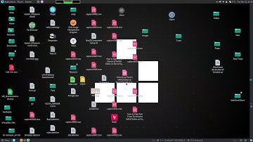 How to Copy Text From NANO Editor to Another NANO Editor on Parrot Security Linux