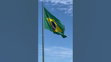 Brazilian Flag