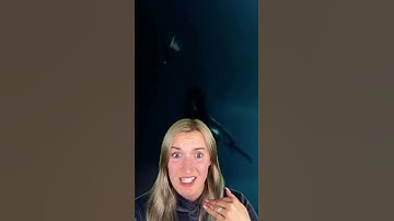 Thumbnail of WHAT DOES IT FEEL LIKE TO DROWN?😳