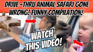 DRIVE-THRU Safari Animal Attacks GONE WRONG! Funny Animal Moments &  Adventures Compilation!
