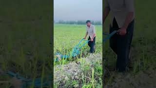 हल चलाये तुने तुने फसल उगाई 🎋🌾#farming #sugarcane #agriculture #kisan #trendingshorts #viralshorts