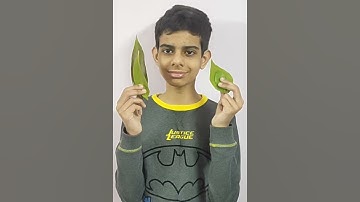 Leaf Art Squirrel Easy | Animal making using Leaves | Squirrel from Leaves | Leaf Art Simple #shorts