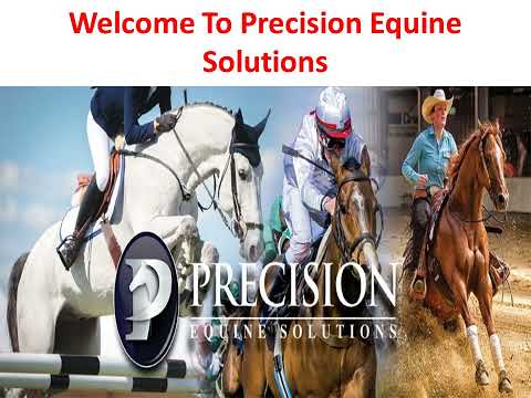 Precision Equine Solutions : Chondroitin Sulfate For Horses
