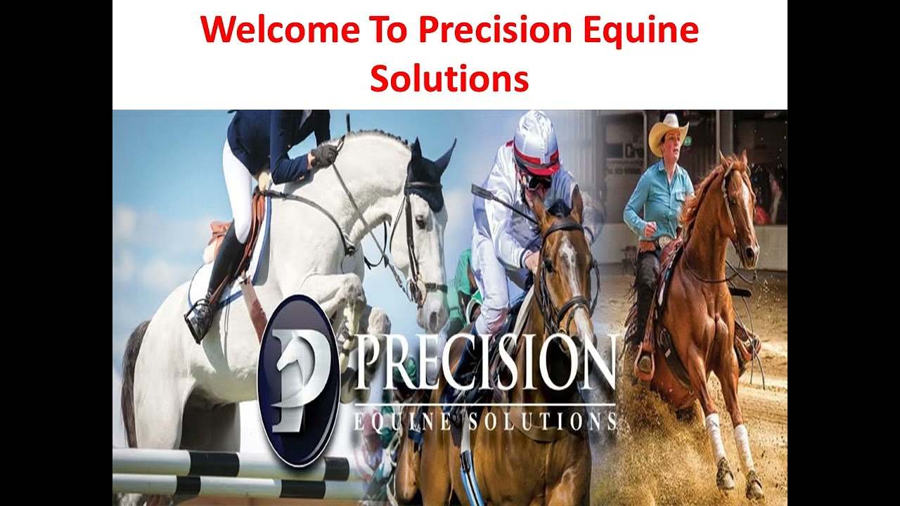 ⁣Precision Equine Solutions : Chondroitin Sulfate For Horses
