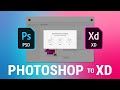 How to Import Photoshop to Adobe XD