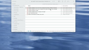 Product Preview  VB MAPP Task Cards Motor Imitation Level 2
