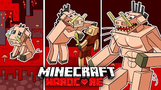 I Survived 100 DAYS as a ZOGLIN in HARDCORE Minecraft!