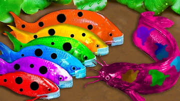 Top 5 Episodes Crocodiles Hunt Colorful Koi, Catfish Primitive Cooking Eels - Stop Motion ASMR CoCo