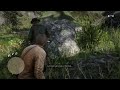 Red Dead Redemption 2 Encountering the Biggest bear