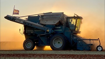 How a peanut combine works