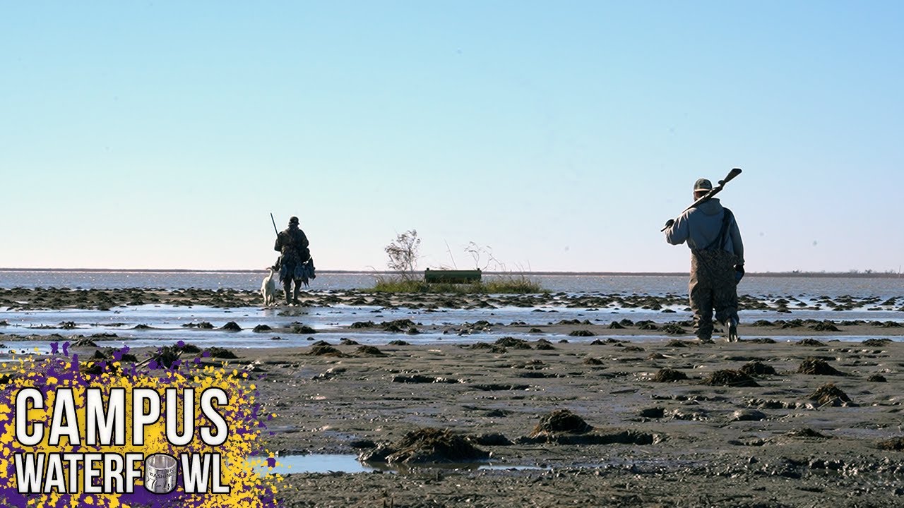 Hunting the Bottom of the Mississippi River Southern Louisiana Duck