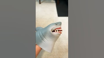 If snails are so slow...