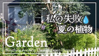 Download Lagu ひぐらし鳴く黄昏の庭✿失敗💧夏の植物5種✿真夏に咲く花々 #ナチュラルガーデン #バラ庭 #ガーデニング #園芸 MP3 Download Lagu ひぐらし鳴く黄昏の庭✿失敗💧夏の植物5種✿真夏に咲く花々 #ナチュラルガーデン #バラ庭 #ガーデニング #園芸 MP3