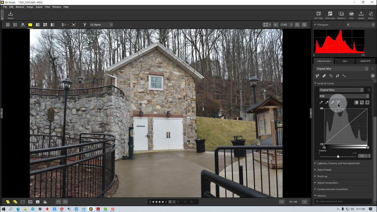 Nikon NX Studio How to Use the Levels and Curves Tool in NX Studio