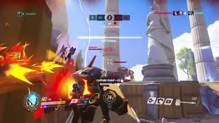 Rein pin