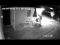 Westchester, Ca. Thief Caught On Video