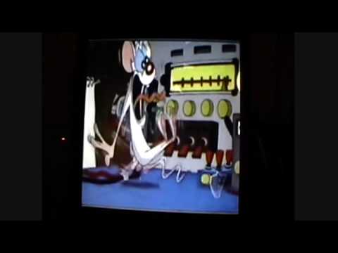 Shocked Pinky Wild Take - YouTube