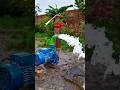 Self Running Free Energy for Irrigation | New Invention //#reels #shorts