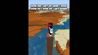 How Did I Get Up Here... #minecraft #java #shorts #bedrockedition