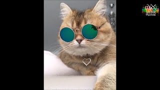 Scatman John - Scatman (Yastreb remix) HD